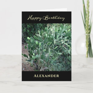 Happy Birthday Men Dad Nature Personalise   Card