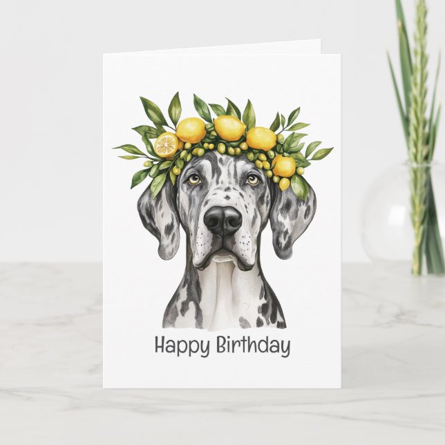 Happy Birthday Merle Great Dane Dog Lemon Crown Card (Front)