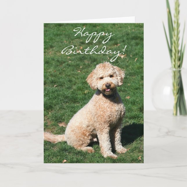 Happy Birthday Mini Goldendoodle greeting card (Front)