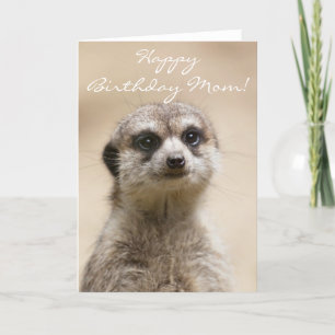 Happy Birthday Mom Meerkat Card