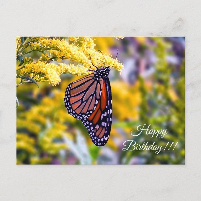Happy Birthday Monarch Butterfly Postcard (Front)