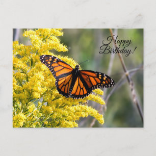 Happy Birthday Monarch Butterfly Postcard