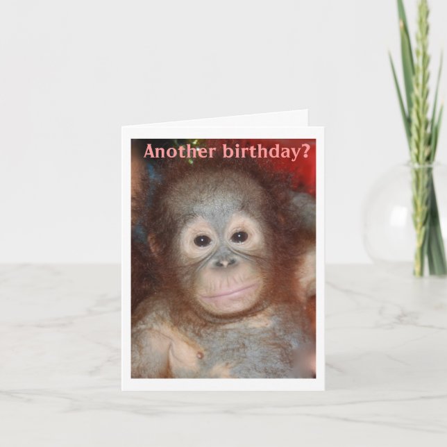 Happy Birthday Monkey Around Card (Front)
