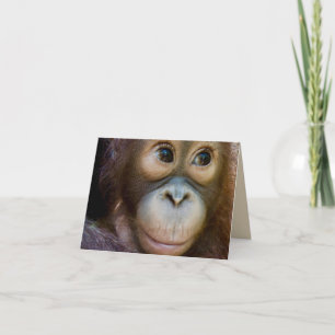 Happy Birthday Monkey! Card