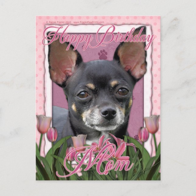 Happy Birthday Mum - Chihuahua - Isabella Postcard (Front)