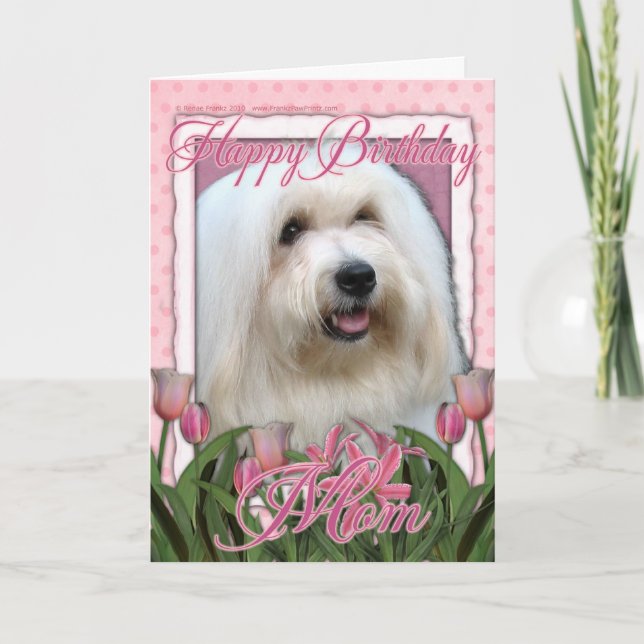 Happy Birthday Mum - Coton de Tulear Card (Front)
