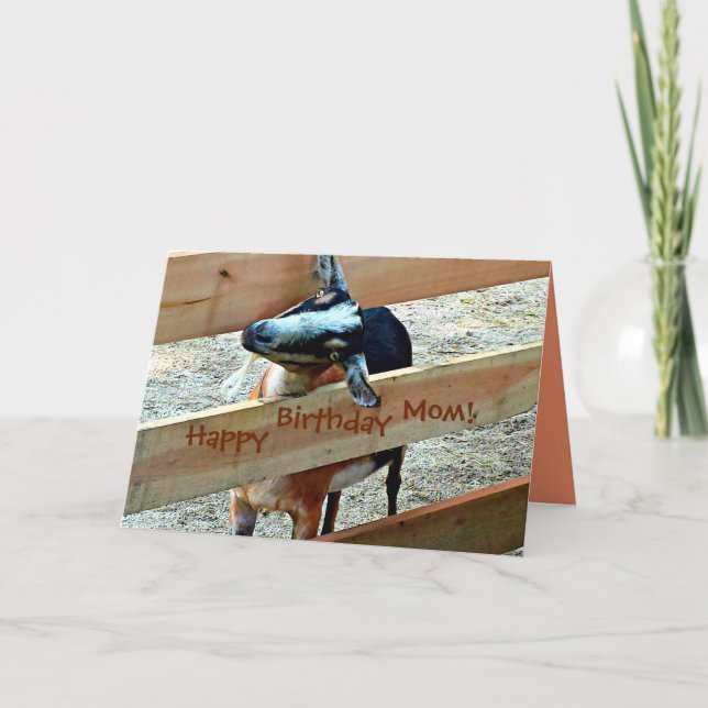 Happy Birthday Mum From Favourite Kid (with Goat) Card (Front)