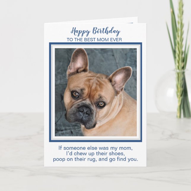 Happy Birthday Mum Funny Dog Worlds Best Dog Mum Card (Front)