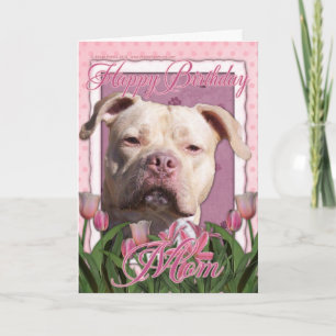 Happy Birthday Mum - Pitbull - Jersey Girl Card