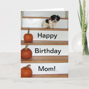 Happy Birthday Mum - puppy and pumkin Havanese Card
