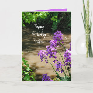 Happy Birthday Mum Purple Flowers and Stream Holiday Card