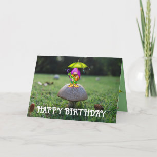Happy Birthday Mushroom Gnome Card