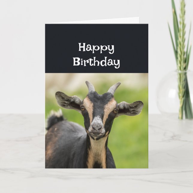  Happy Birthday My FAVORITE OLD GOAT FUN Card (Front)