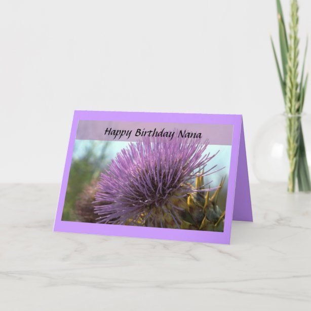 nana cards zazzle au