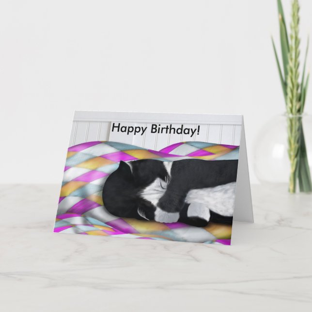 Happy Birthday Napping Tuxedo Cat Card (Front)