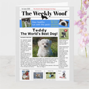 Happy Birthday Novelty Dog News Card