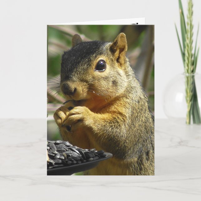 Happy Birthday Nutty Friend Funny Squirrel Card (Front)