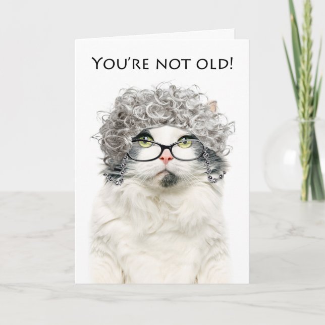 Happy Birthday Older Female Cat in Grey Wig Holiday Card (Front)