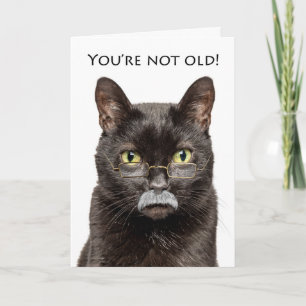 Happy Birthday Older Male Cat in Grey Moustache  Holiday Card