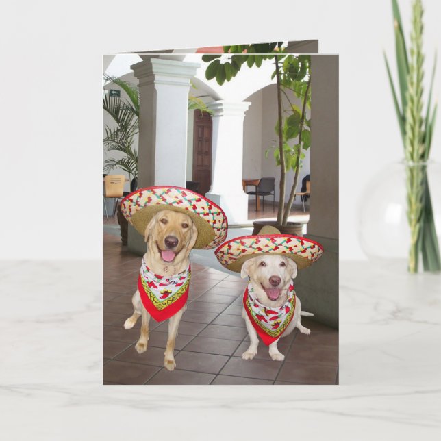 Happy Birthday! or ¡Feliz cumpleaños! Card (Front)