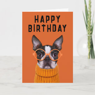 Happy Birthday   Orange Boston Terrier Card