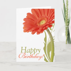 Happy Birthday   Orange Gerbera Daisy Card