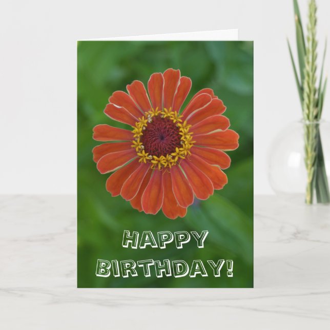 Happy Birthday Orange Zinnia flower blossom Card (Front)