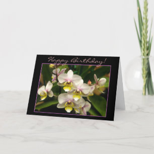 Happy Birthday Orchid greeting card