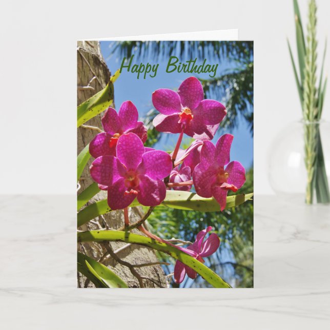 Happy Birthday Orchids Greeting Card (Front)