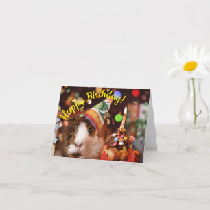 Happy Birthday - Party Animal Guinea Pig Birthday Card