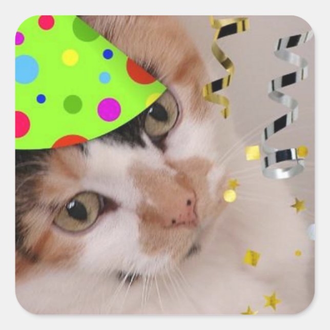 Happy Birthday Party Calico Cat Square Sticker (Front)