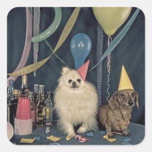 Happy Birthday Party with Dogs and Drinks Square Sticker