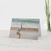 Happy Birthday Pelican