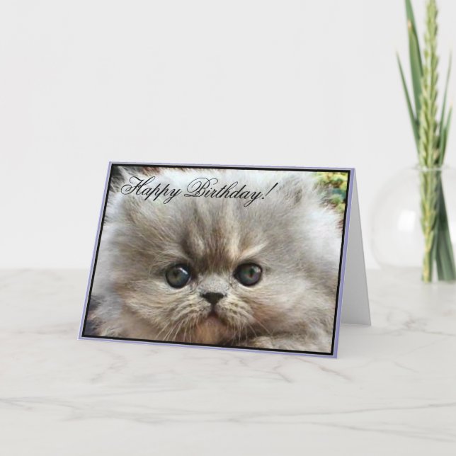 Happy Birthday Persian kitten greeting card (Front)