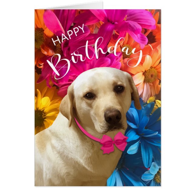Happy Birthday, Pet, Dog, Cute Labrador Flowers (Front)