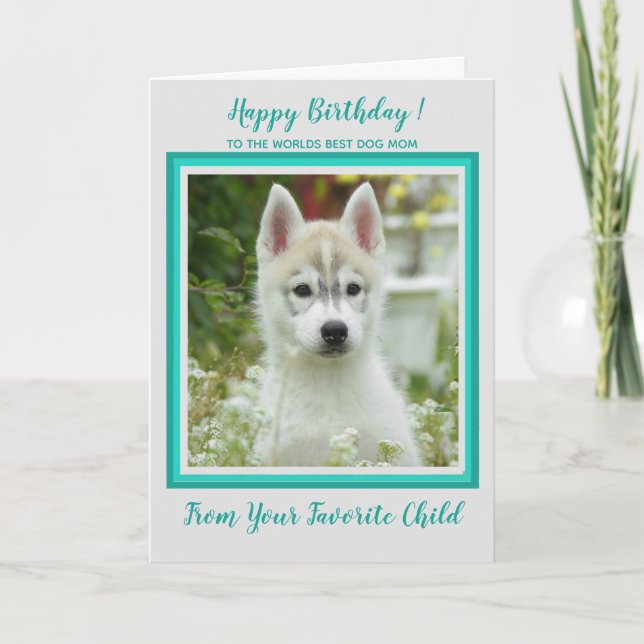 Happy Birthday - Pet Photo - Worlds Best Dog Mom Card (Front)