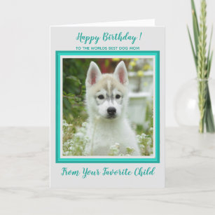 Happy Birthday - Pet Photo - Worlds Best Dog Mom Card