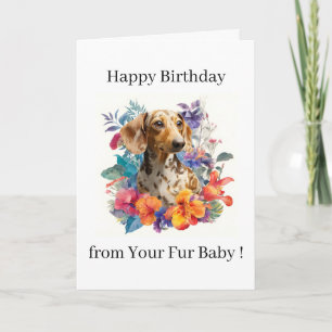 Happy Birthday Photo Dog Cat Pet Fur Baby Card