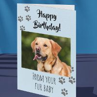 Happy Birthday Photo Dog Cat Pet Fur Baby