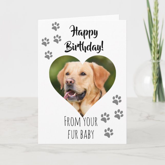 Happy Birthday Photo Dog Cat Pet Fur Baby Card (Front)