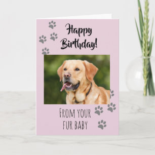 Happy Birthday Photo Dog Cat Pet Fur Baby Card