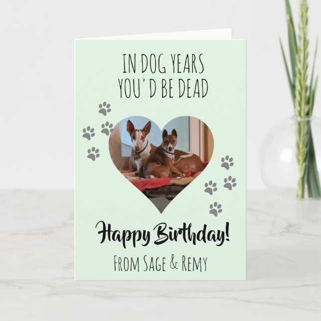 Happy Birthday Photo Dog Funny Dog Years Photo Card (Front)