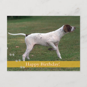 Happy Birthday! Photo dog Postcard