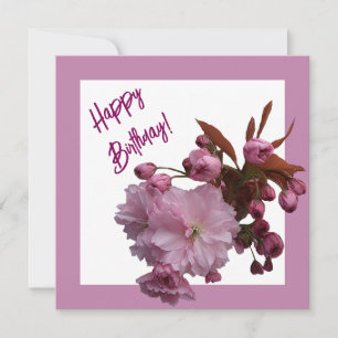 Happy birthday pink cherry blossom flowers art holiday card