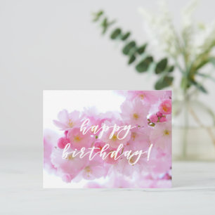 Happy Birthday! Pink Cherry Flower Postcard