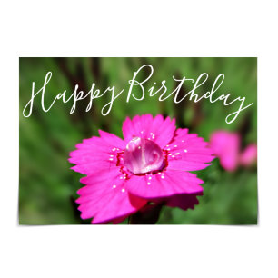 "Happy Birthday" Pink Dianthus Raindrop Card