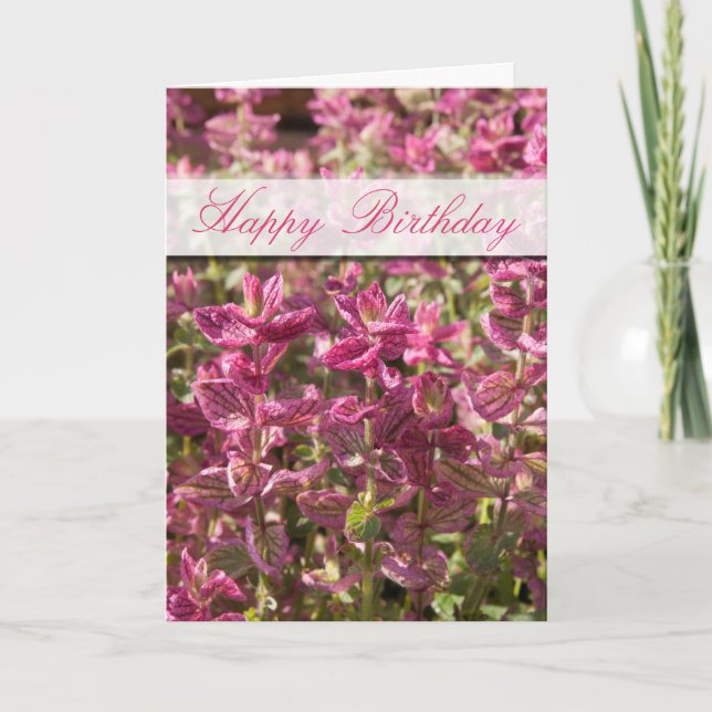 Happy Birthday Pink Leaves On Plant Stalks Photo Card (Front)