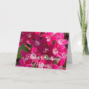 Happy Birthday Pink Pixies Card