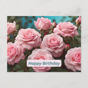 Happy Birthday Pink Roses in Bloom Postcard