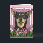 Happy Birthday - Pink Tulips - Australian Kelpie Card<br><div class="desc">Perfect Birthday Gift for the Australian Kelpie dog lover!</div>